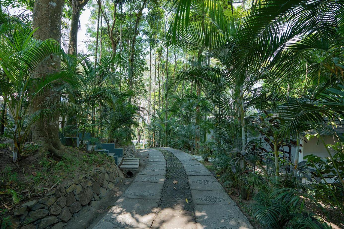 The Hive, Wayanad Hotel Exterior photo